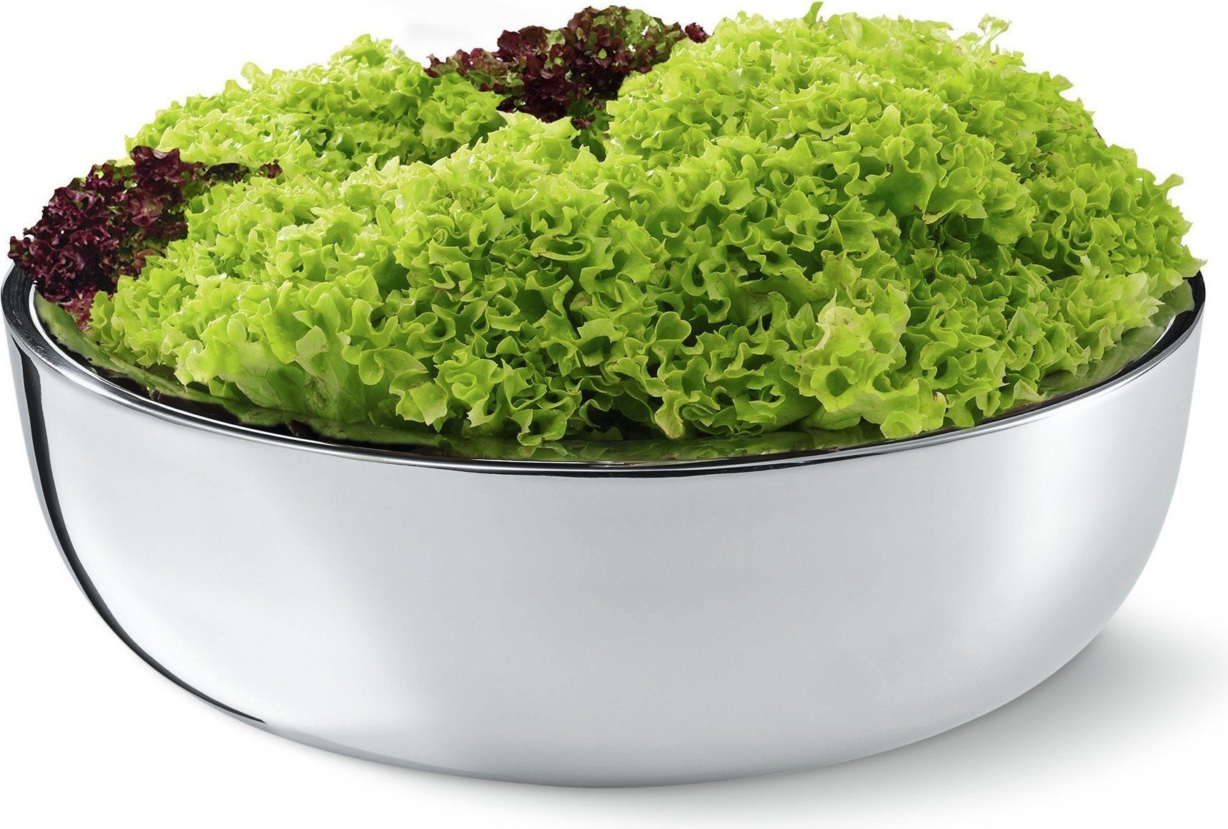 Misa do sałaty Ginoo