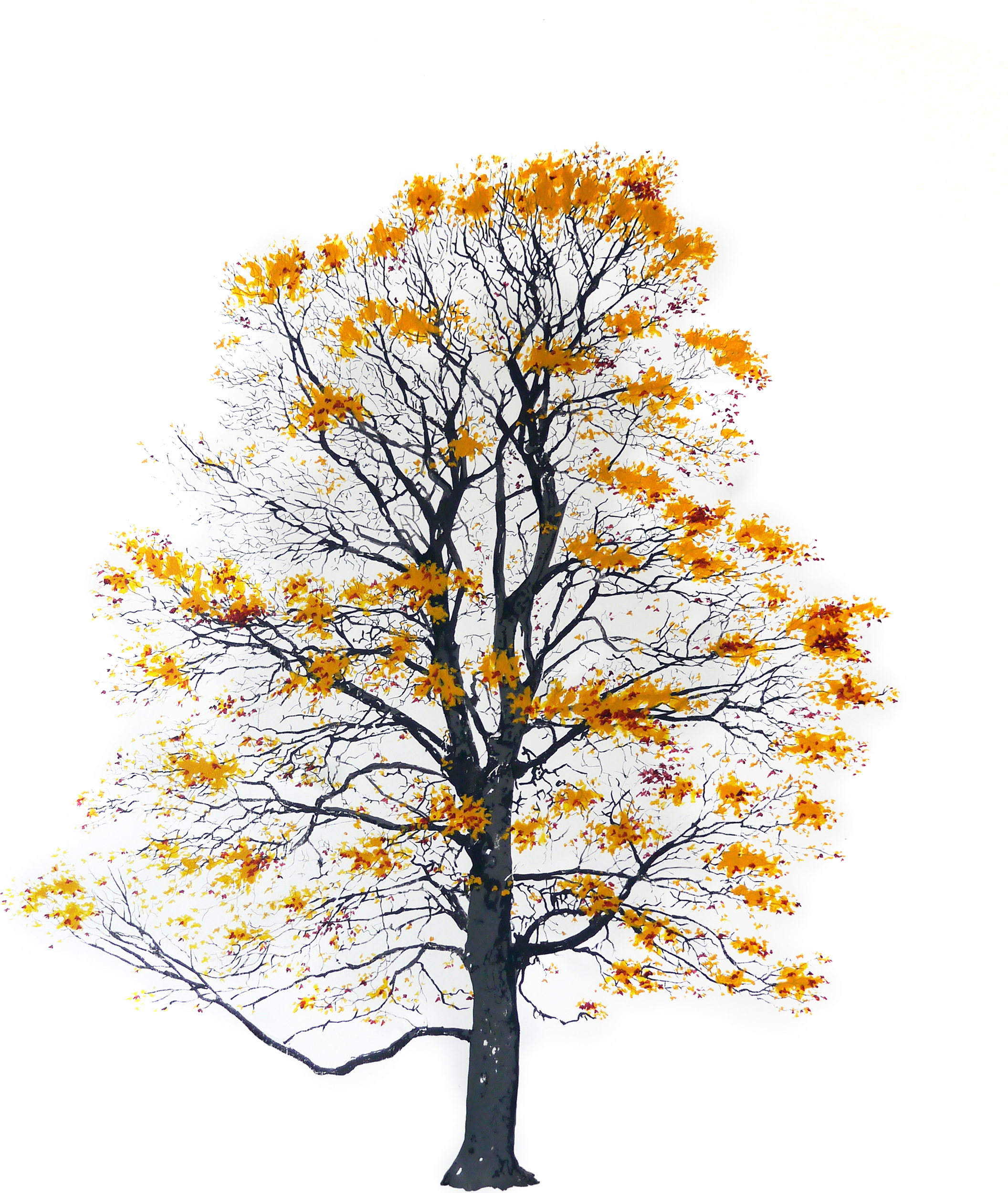 Plakat Tree Autumn