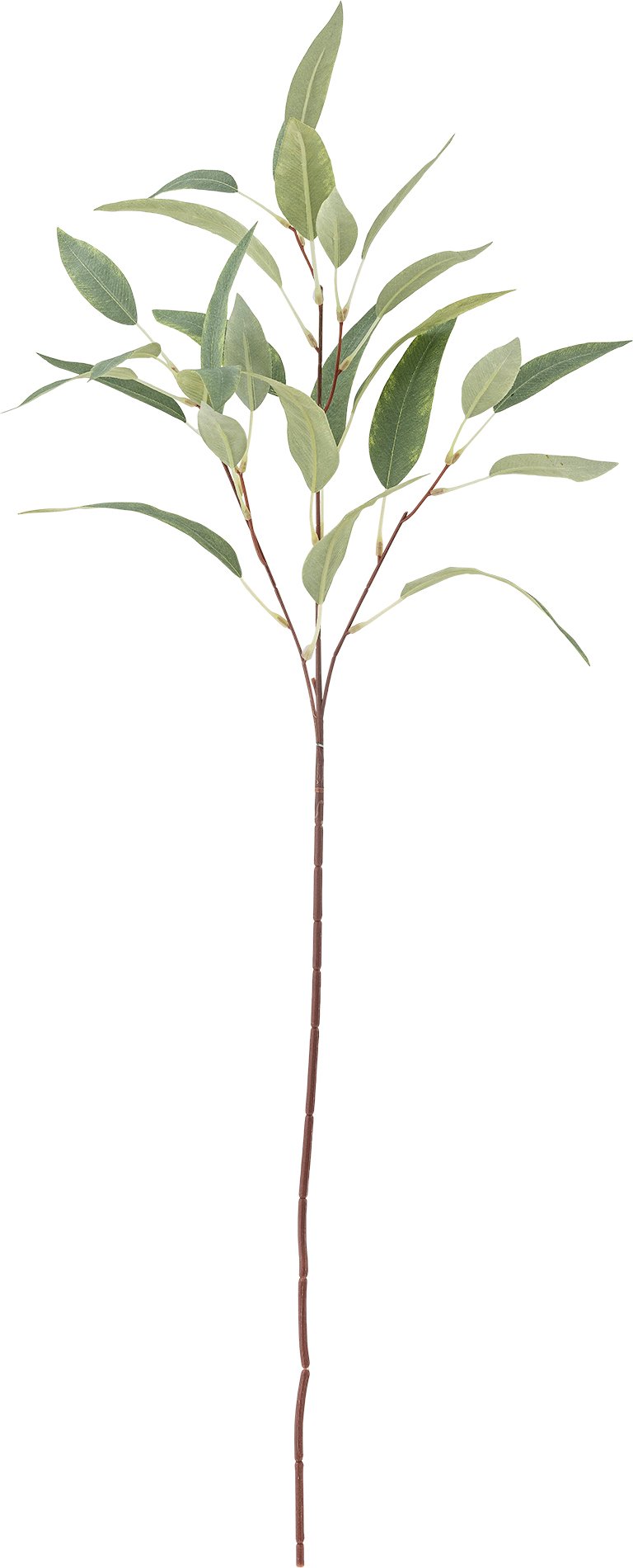 Kwiat sztuczny Bloomingville eukaliptus 18 x 85 cm zielony