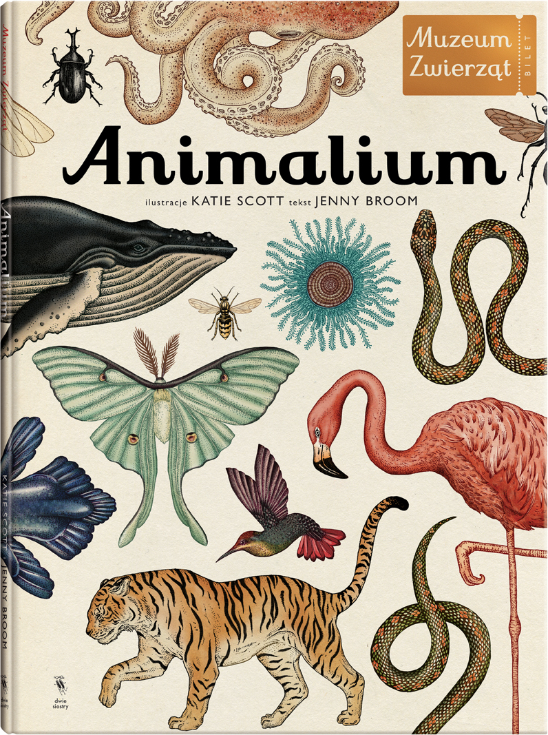 Książka Animalium Muzeum Zwierząt