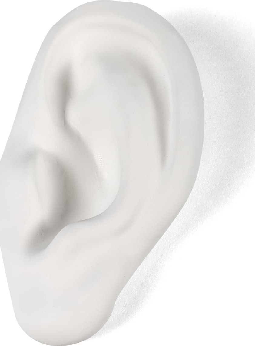 Dekoracja Memorabilia Mvsevm ucho