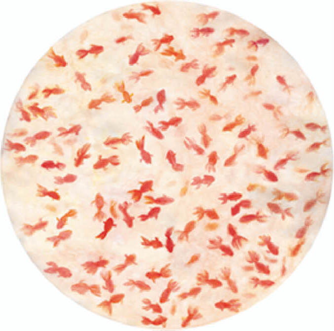 Talerz do serwowania The White Snow Kingyo 32 cm czerwono-pomarańczowy