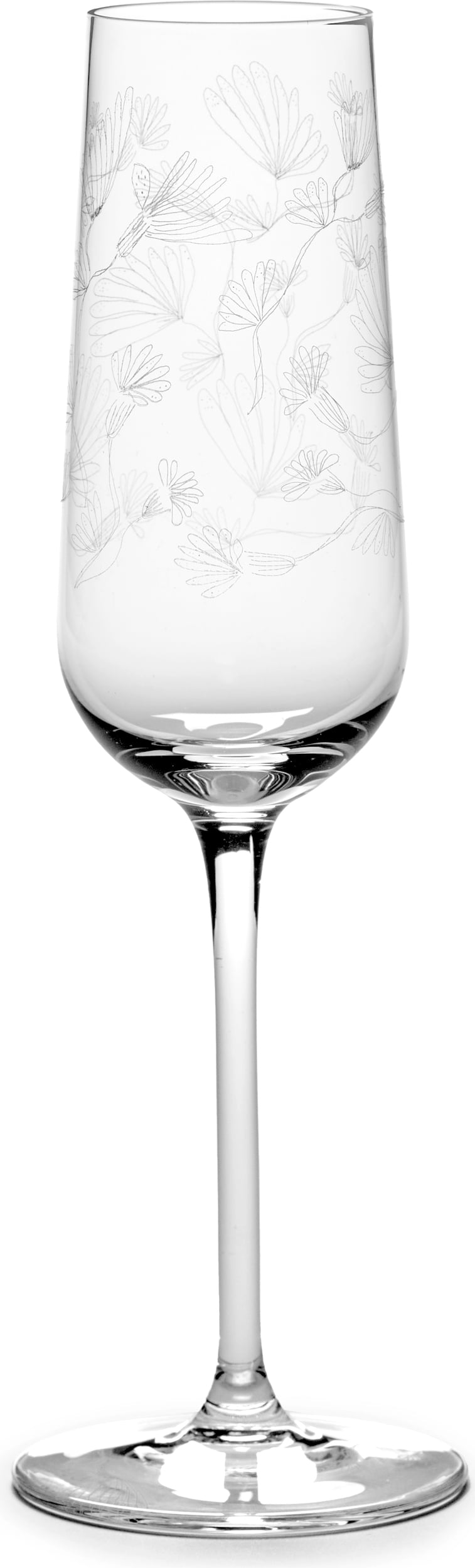 Kieliszki do szampana Midnight Flowers 260 ml 4 szt.