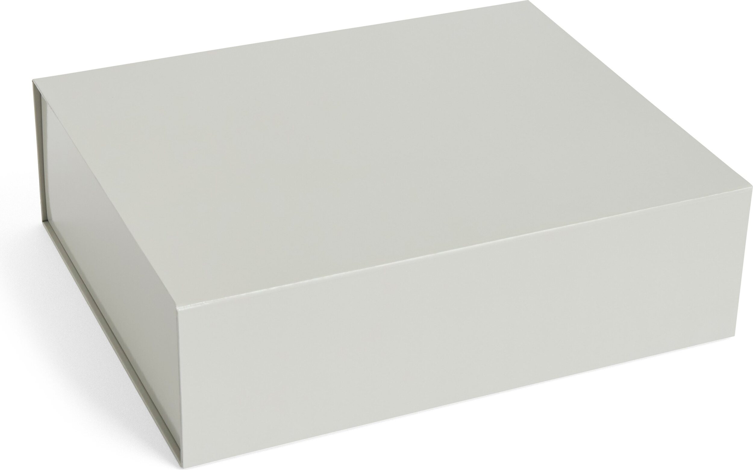 Pudełko do przechowywania Colour Storage L szare