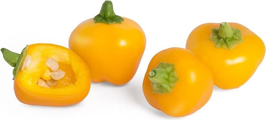 Wkład nasienny Lingot mini warzywa papryka żółta