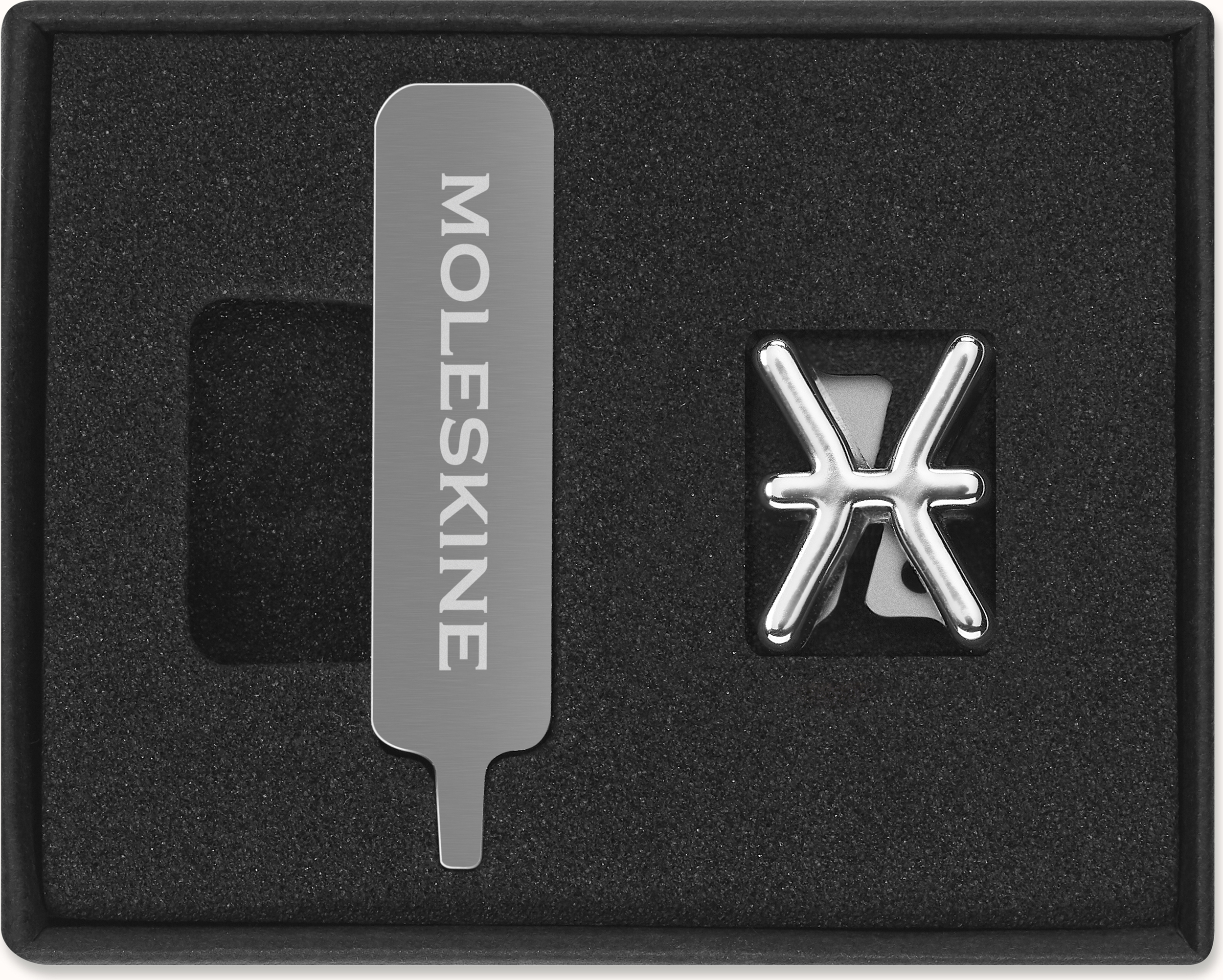 Przypinka na notes Moleskine zodiak ryby srebrna