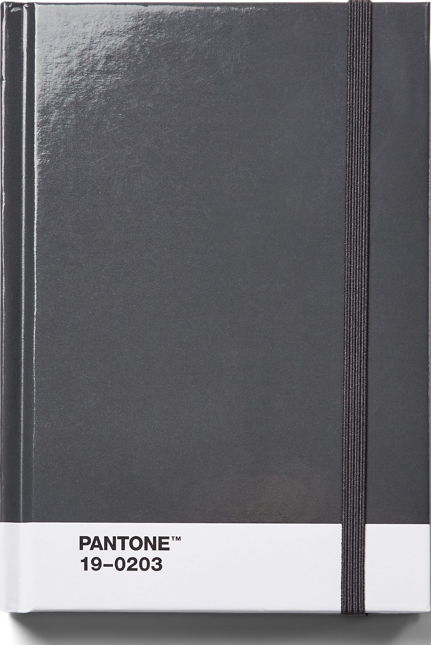 Notes w kropki Pantone S szary