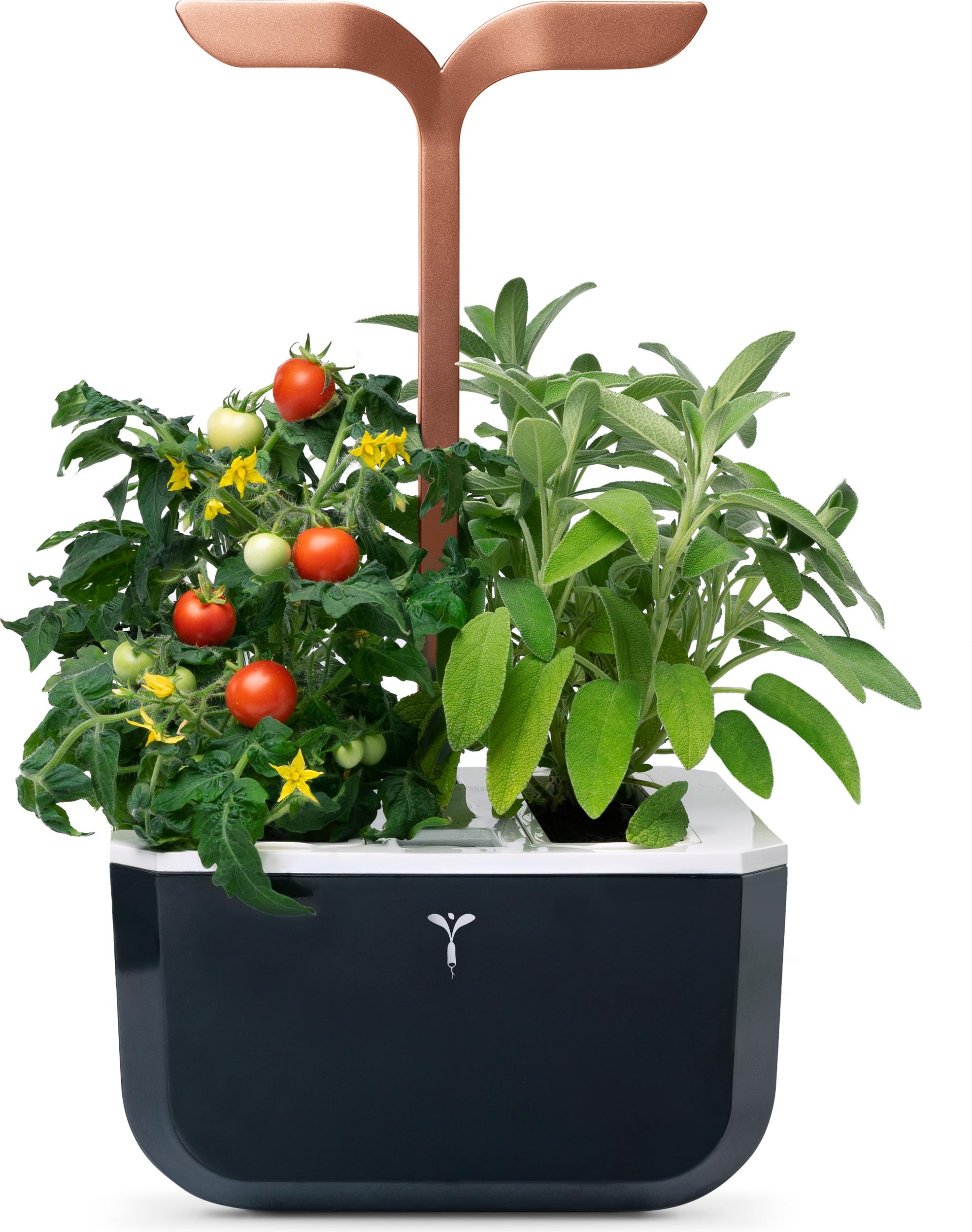 Doniczka Veritable Exky Smart Copper