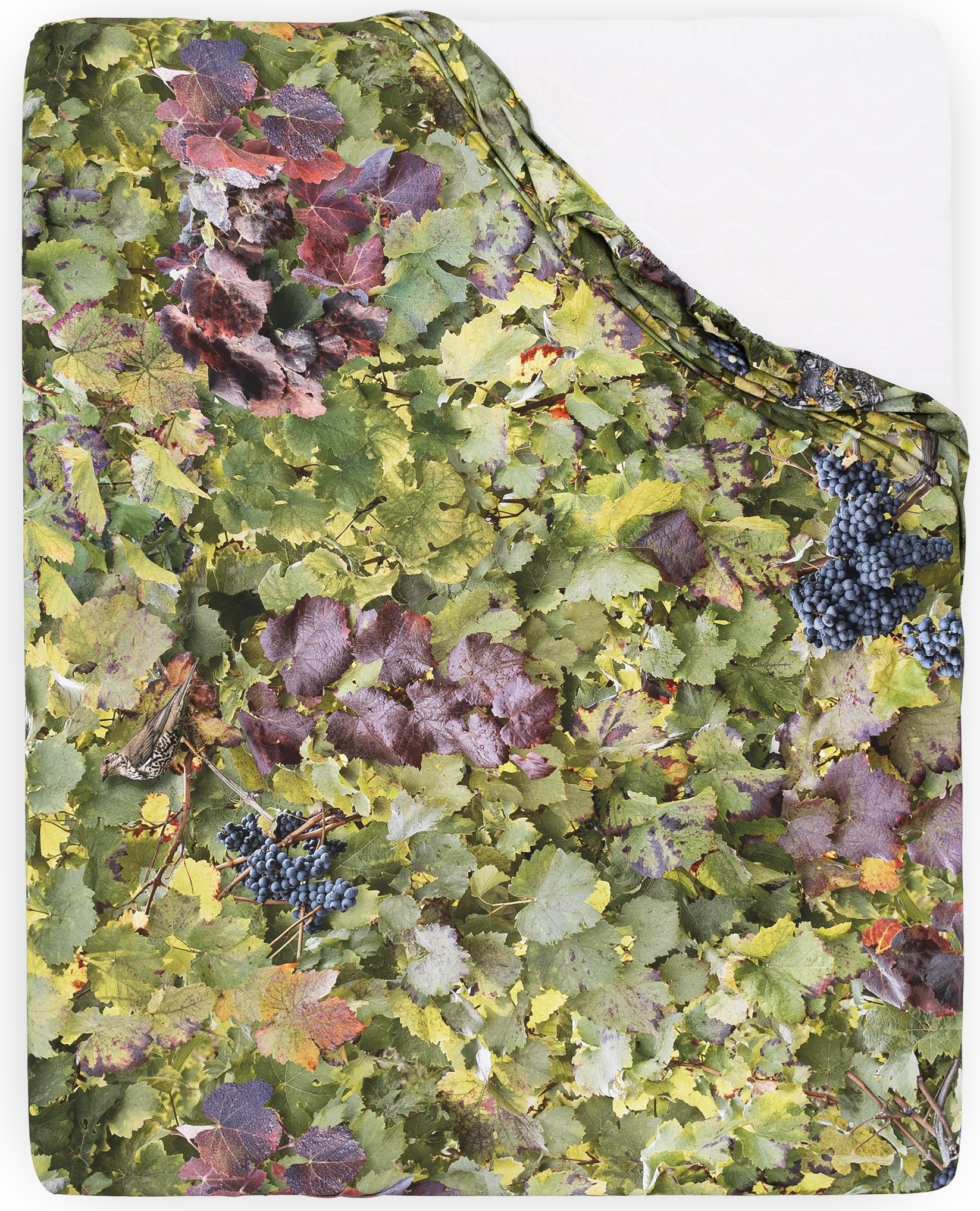 Prześcieradło z gumką Hayka winnica 140 x 200 cm