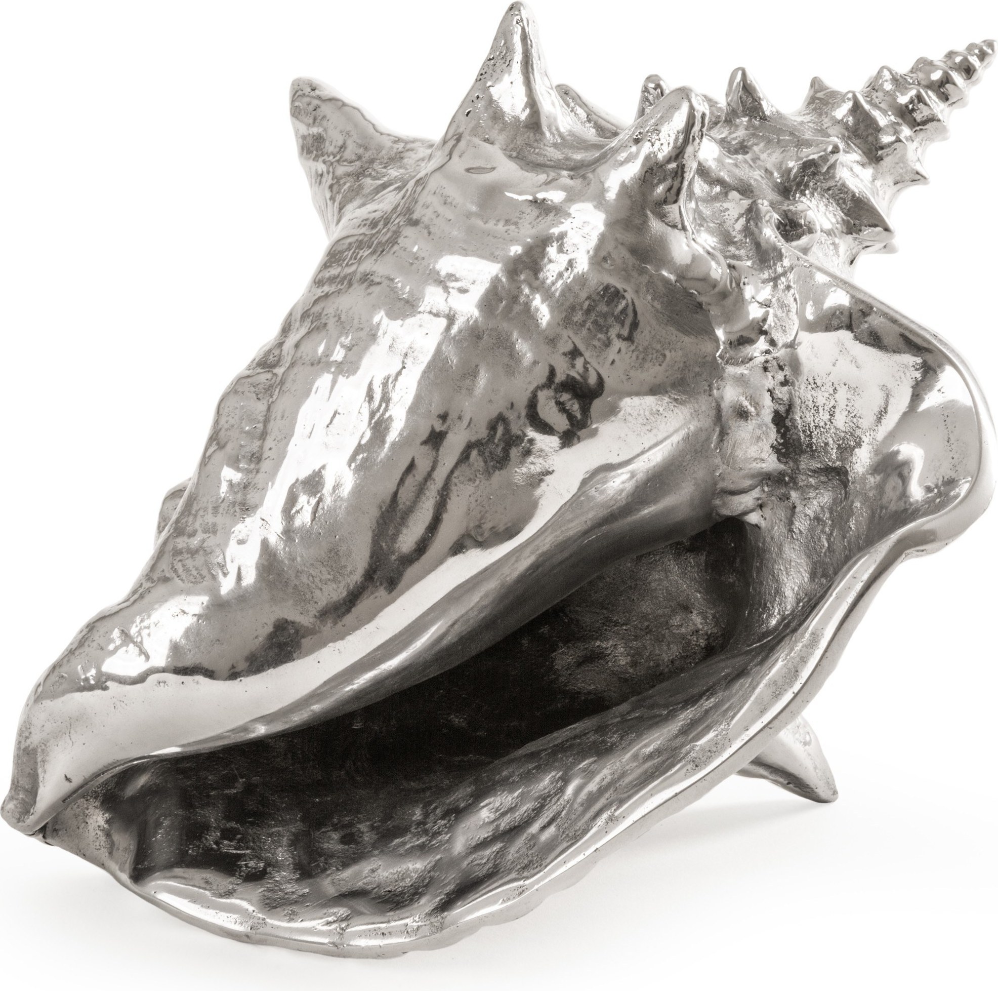 Dekoracja muszla Hellter Shellter Wunderkammer