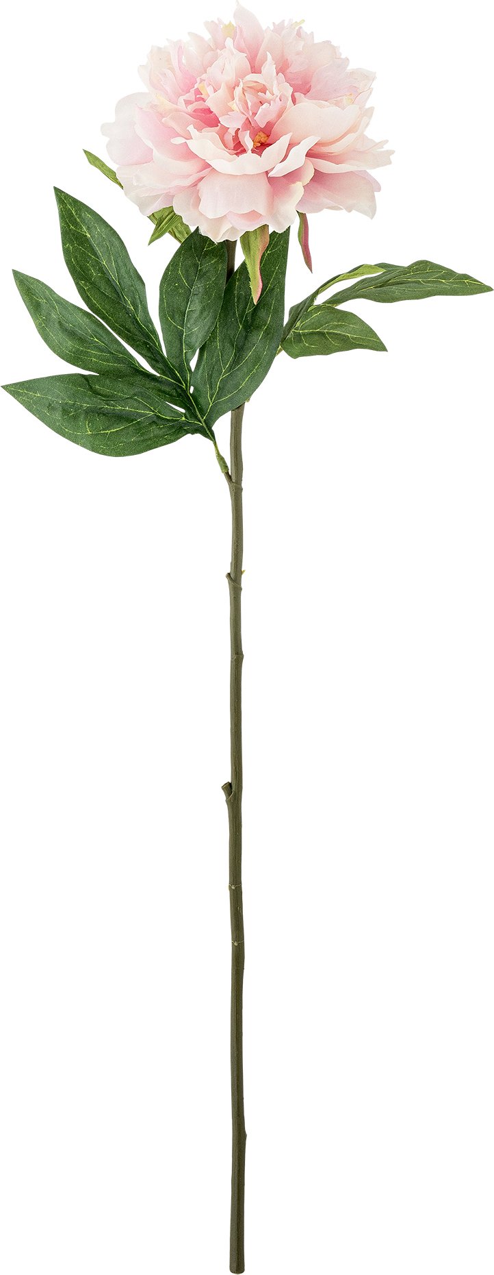 Kwiat sztuczny Bloomingville piwonia 66 cm różowa