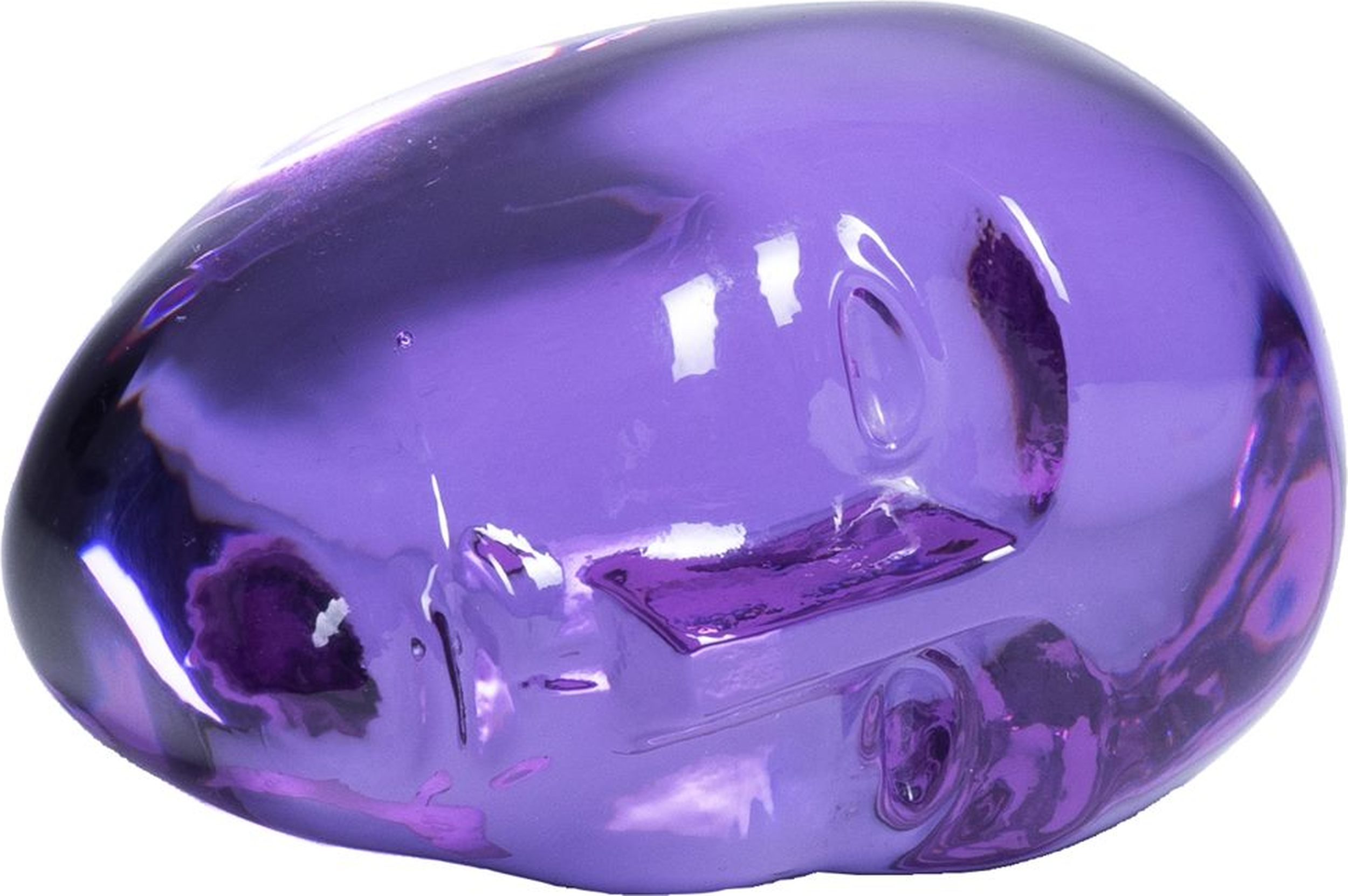 Dekoracja Brains I Dreamed of a Blue Horse