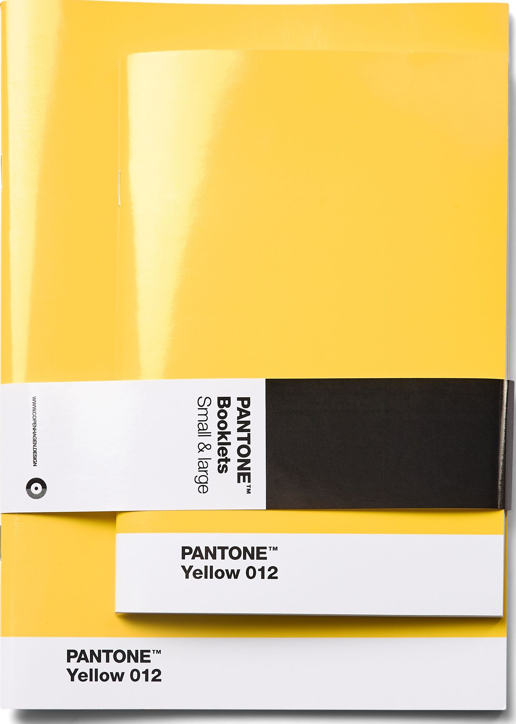 Zeszyty w kropki Pantone żółte 2 szt.