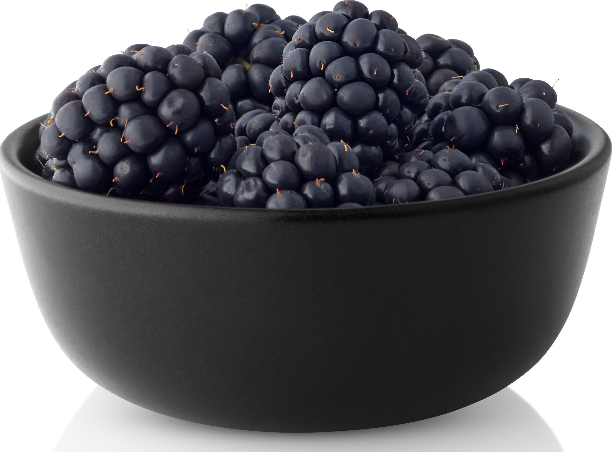 Miska Nordic Kitchen 10 cm