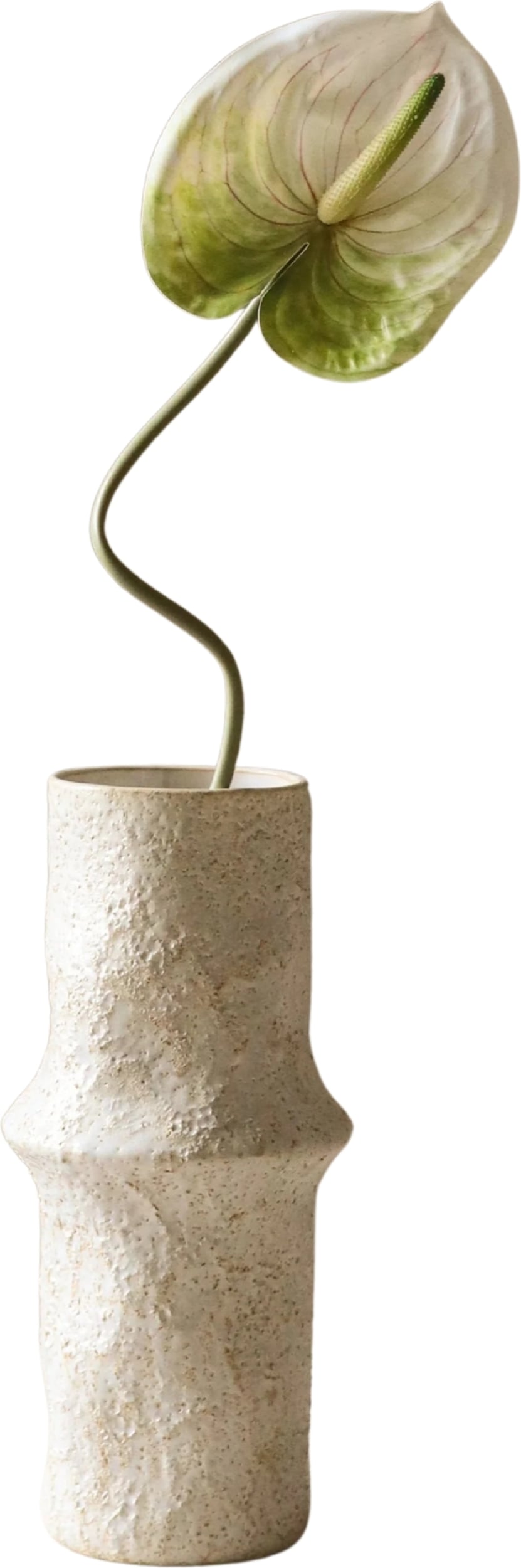 Kwiat sztuczny Botane anturium 67 cm jasnozielone