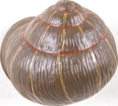 Wieszak Snail Sleepy kolorowy