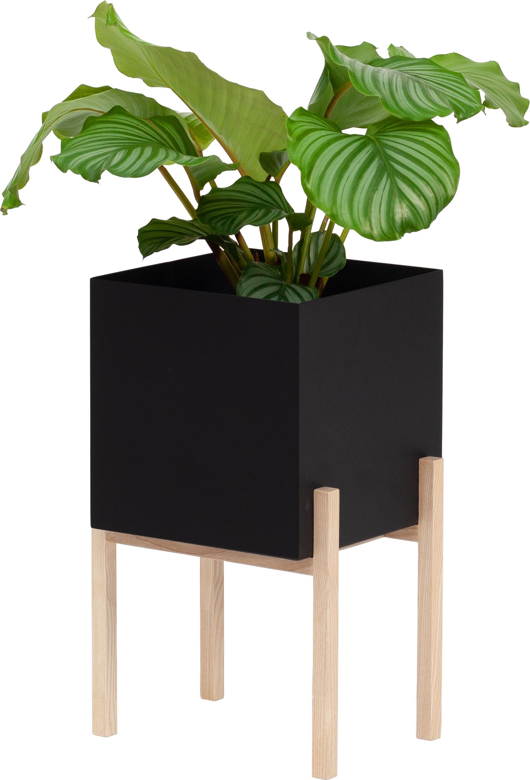 Doniczka na nóżkach Botanic czarna