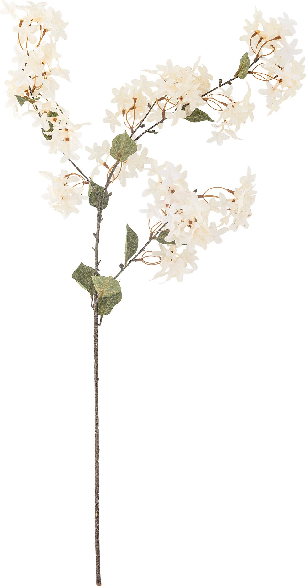 Kwiat sztuczny Bloomingville mirt biały