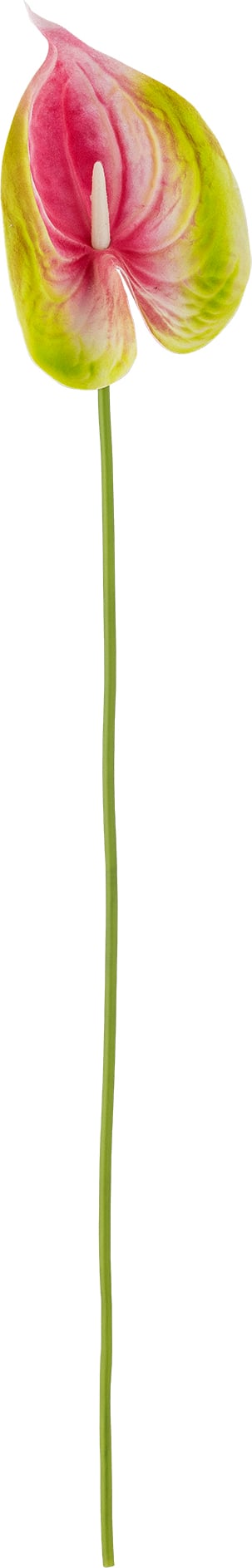 Kwiat sztuczny Bloomingville anturium