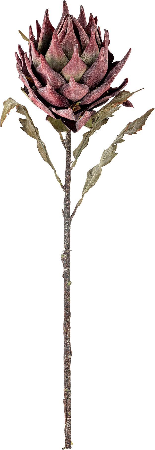 Kwiat sztuczny Bloomingville srebrnik 76 cm fioletowy