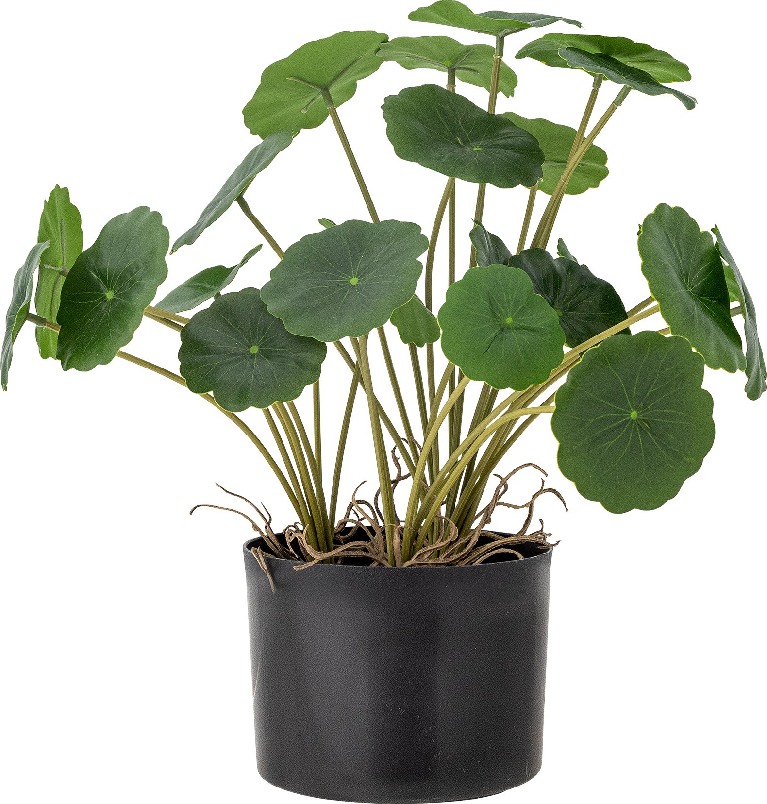 Kwiat sztuczny doniczkowy Bloomingville wąkrotka zwyczajna S