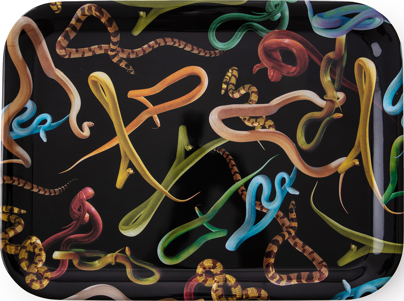 Taca Seletti Wears Toiletpaper Snakes