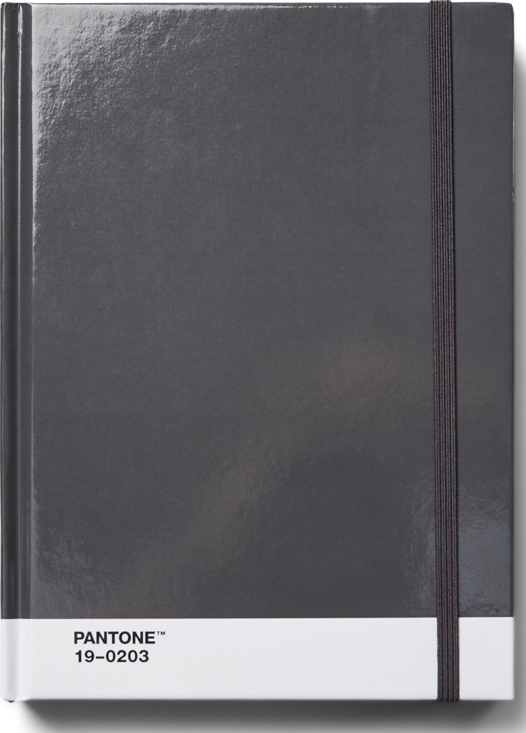 Notes w kropki Pantone L szary