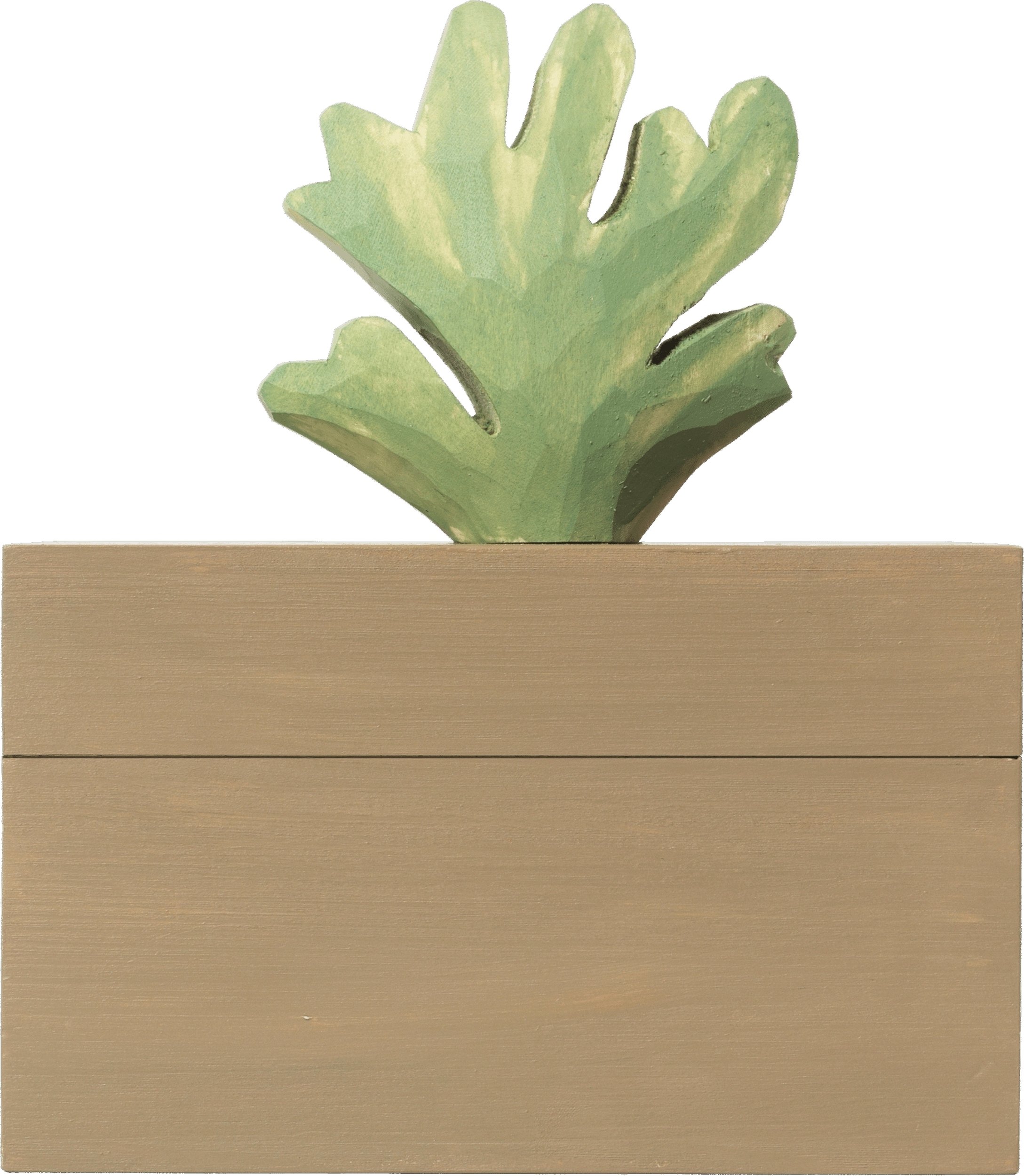 Szkatułka Harbour koralowiec