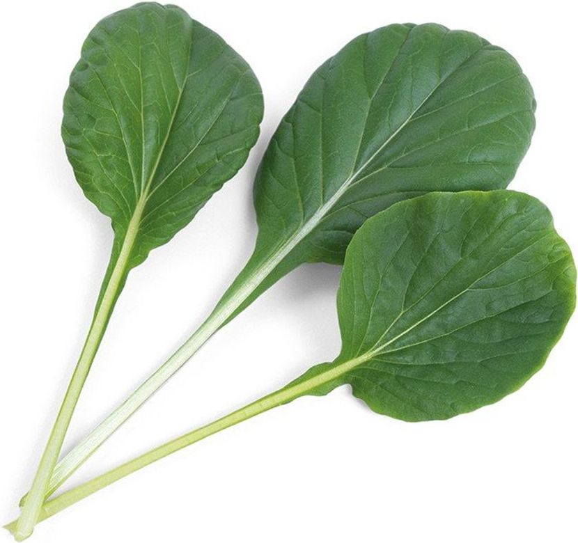 Wkład nasienny Lingot Smaki Azji Tatsoi