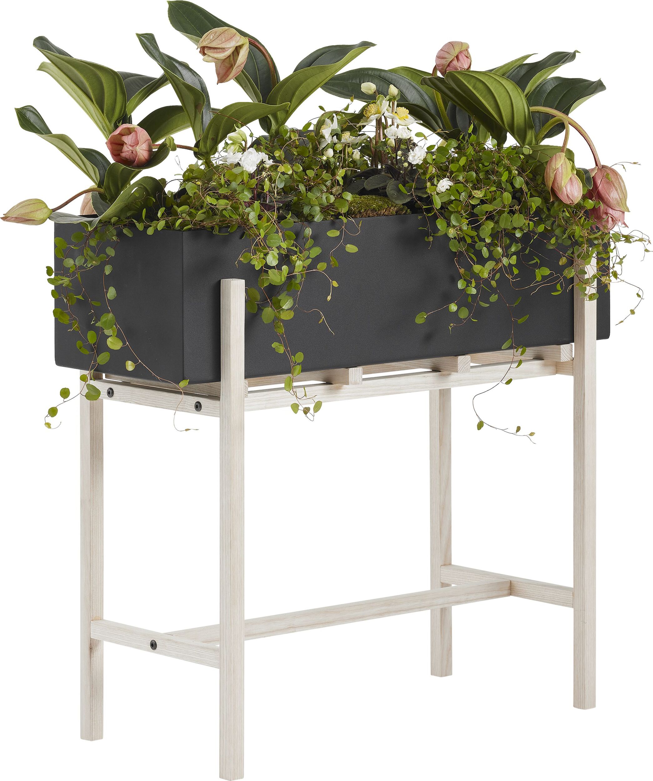 Kwietnik Botanic czarny